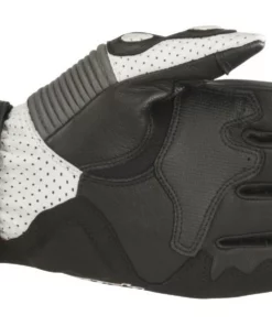 Summer Gloves Alpinestars SP-2 V2 Gloves -Motorcycle Gloves Sales alpinestars glove sp2 v2 bgr